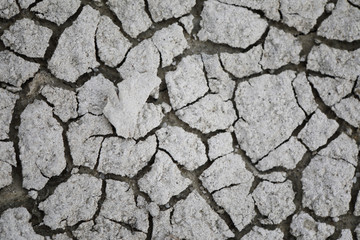 Cracked earth. Abstract  texture for background