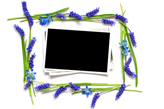 blank photo in a frame of spring blue flowers