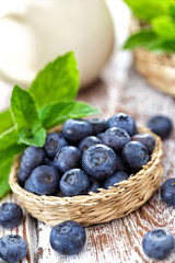 Fresh blueberry