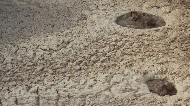 Water with sludge during wastewater purification process