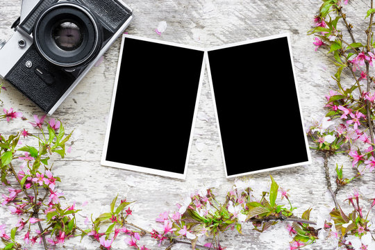 vintage retro camera, blank photos and spring flowers branches