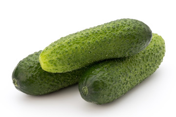 The first spring ecologically cucumbers.