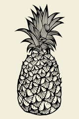 Pineapple fruit Hand drawn