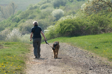 eine frau geht mit hund an der leine auf einem feldweg