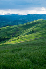 Fototapeta premium Panorama collinare in Appennino