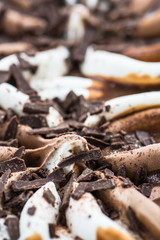 Vanilla and Chocolate Ice Cream