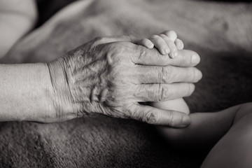 great-grandmother holds the hands of his beloved grandson by the window