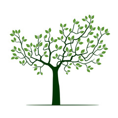 Obraz premium Green Tree with Leafs. Vector Illustration.