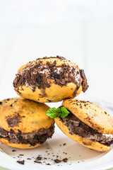 Vanilla and Chocolate Ice Cream