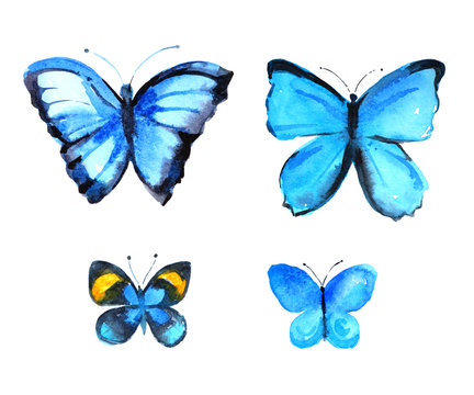 Set of four blue butterflies, watercolor illustration on white background