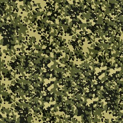 Camouflage Perfectly Seamless Texture 