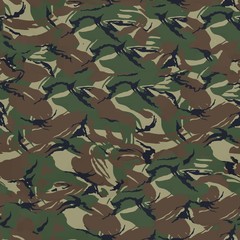 Camouflage Perfectly Seamless Texture 