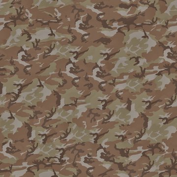 Camouflage Perfectly Seamless Texture 