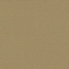 Carpet Perfectly Seamless Texture
