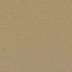Carpet Perfectly Seamless Texture