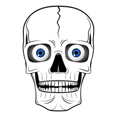 Skull illustration - eyeballs