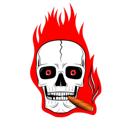 Skull illustration - flames
