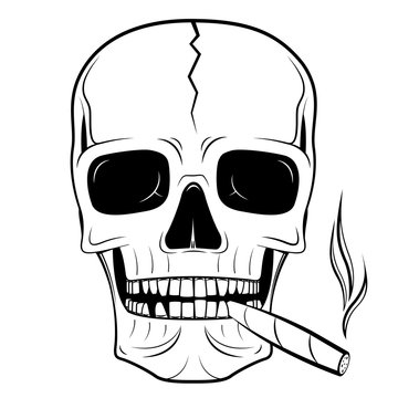 Skull Illustration - Cigar