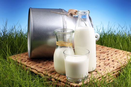 fresh milk in glass jug and glass on fresh green grass
