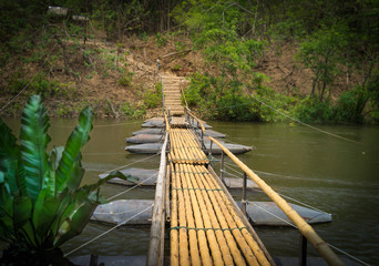 Bamboo Bridge over the Tropical River