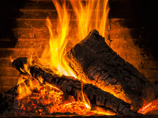 Firewoods