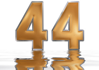Obraz premium Numeral 44, forty four, reflected on the water surface, isolated on white, 3d render