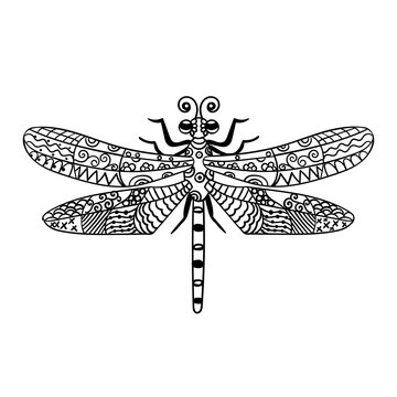 Hand drawn dragonfly in ornate zentangle style. Black and white vector illustration