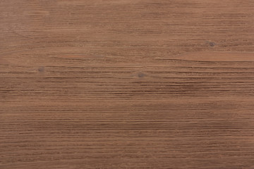 texture of bark wood use as natural background