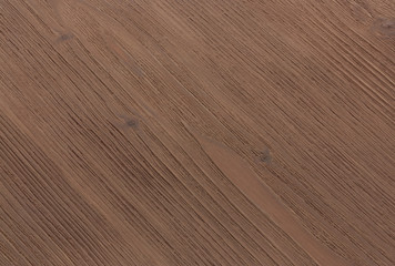 texture of bark wood use as natural background