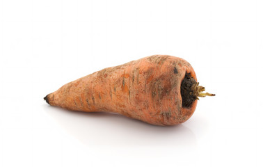 Old dirty carrots on a white background. Isolated