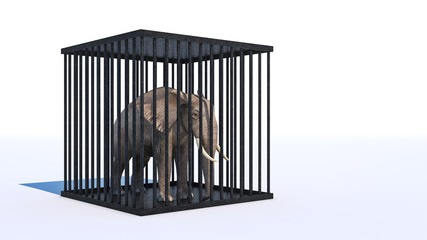elephant in cage. 3d rendering