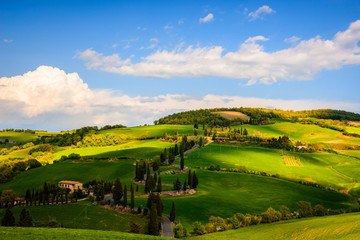 Fototapeta na wymiar View of Tuscany countryside in spring