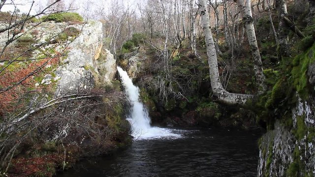 Cascada de agua entre Hayas Rocas y Musgo y Hayas