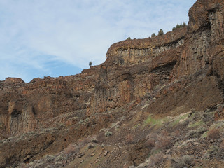 Detailed layers of multicolored rocks on a cliff side with wild grasses on a sunny winter day off of the Crooked River Highway in Central Oregon. 