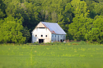 Obraz premium White barn in summer time in rural Indiana