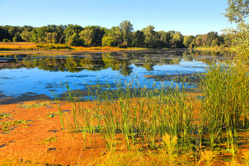 Lake and marsh lands in rural Michigan