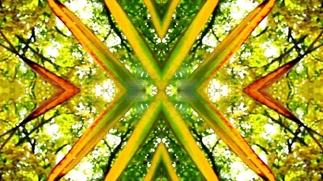 Fractal Caleidoscopico Oto&ntilde;al y Tropicalcon Hojas de Palmera