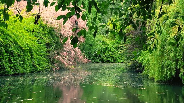 Lago en Parque con Frondosa Vegetacion en Primavera
