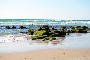 Fototapeta na wymiar Stones with green moss on the seashore