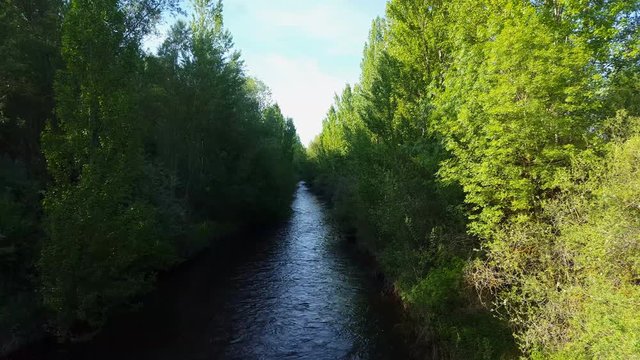 Rio Porma entre Arboles en Primavera. Afluente del Duero