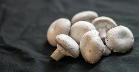 Button mushrooms against black background