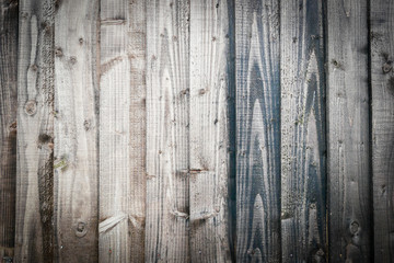 Fototapeta premium Wood background wall paper