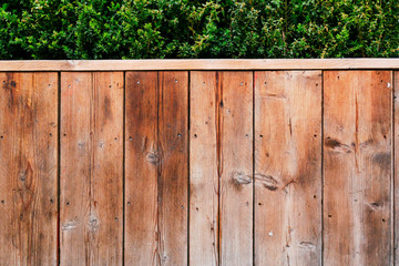 Wood abstract background with tree