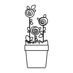 silhouette drawing roses planted with leaves in flowerpot vector illustration