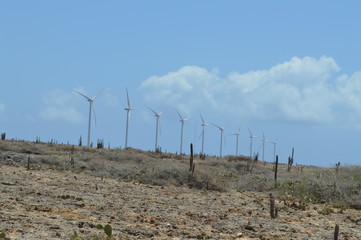molinos