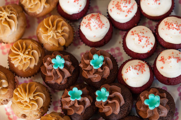 Set of cup cakes, assorted cupcakes