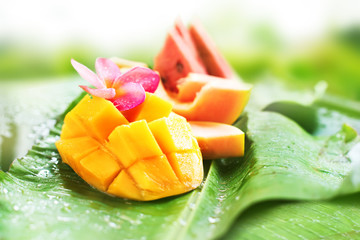 Mango Water Melon Papaya Melon Fruits Tropical