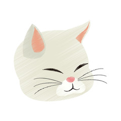 cat house pet icon image vector illustration design 