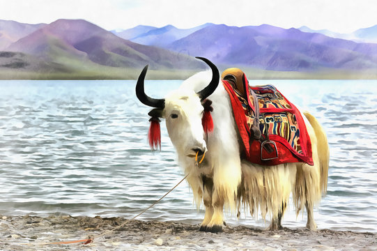 Colorful painting of domestic yak portrait