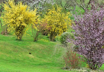 Naklejka premium printemps au jardin